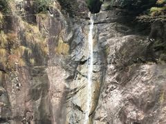 -花岩国家森林公园