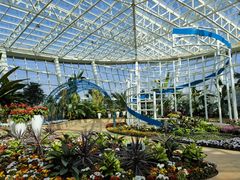 -石家庄市植物园