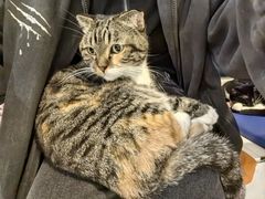 -平行世界·猫咖(首经贸店)