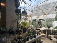 -自由生长植物工作室(深港花卉中心店)