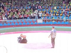 -西安秦岭野生动物园