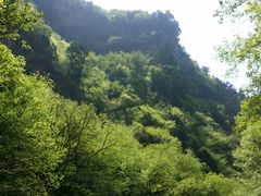 -北京上方山国家森林公园