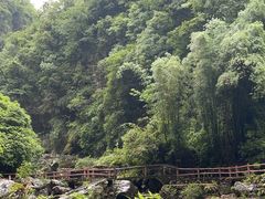 -华蓥山天意谷景区