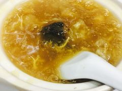 招牌花胶海参煲仔翅-添發碗仔翅美食