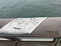-星光大道