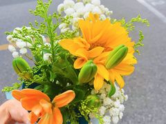 -溥仪眼镜PUYI OPTICAL(国贸商城店)