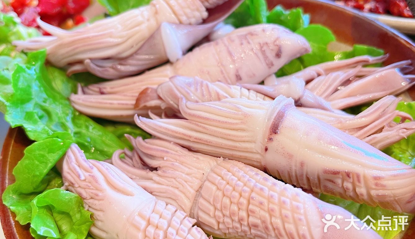 我在新青年等你