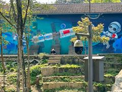 -中国大熊猫保护研究中心雅安碧峰峡基地