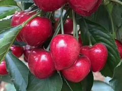 -刘一龙虾(数码路店)