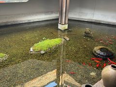 -几荷·恰似故人来(秀水广场店)