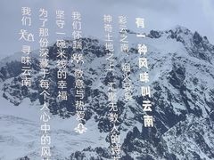 -云味馆·云南菜·云南米线(景田店)