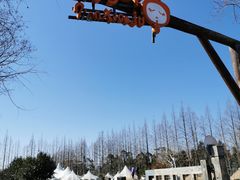 -上海长兴岛郊野公园