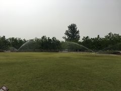 -御林古桑园