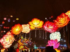 -淄博花灯齐彩城
