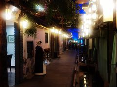 -淀里船宴(卓达店)