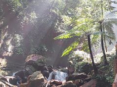 -赤水丹霞旅游区·佛光岩