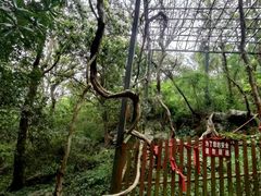 -玉女潭景区