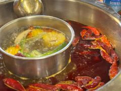 -金鼎雪山牦牛杂火锅(理县总店)