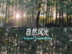 -杭州西湖风景名胜区-满觉陇四眼井