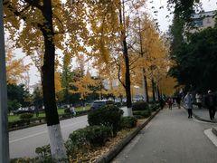 -四川大学(望江校区)