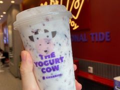 -一只酸奶牛(八一路店)