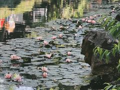 -水绘园