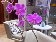 -招商银行(大坪支行)