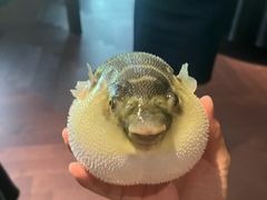 -肆月河豚·淮扬菜·湘菜(华天店)