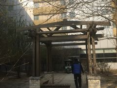 -首都医科大学附属北京地坛医院