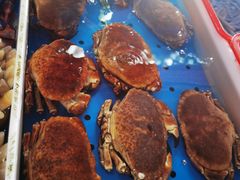 -南沙十九涌渔人码头-南门