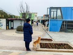 -朱家尖南沙景点