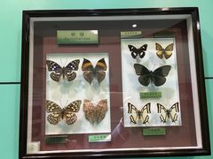 -上海昆虫博物馆