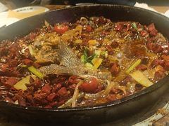 -老板恋上鱼(恒隆广场店)