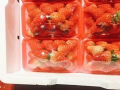 -九村烤脑花(大石坝总店)