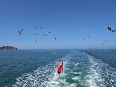 -海驴岛(荣成市)