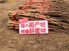 -解家河南菜(商鼎路店)