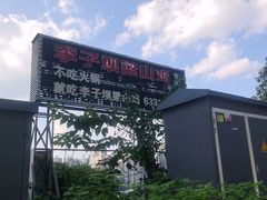 -李子坝梁山鸡(李子坝大鸡哥店)