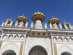 -上海东林寺(金山区)