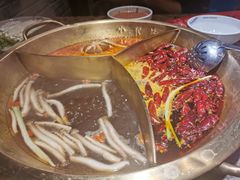 -小龙坎老火锅(工体店)