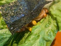 生菜-红辣椒八爪鱼特色韩国料理