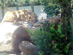 -西安秦岭野生动物园