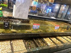 -海鲜e族(马王堆店)