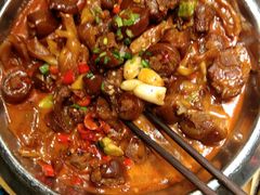 鸭掌畏猪尾-九黎部落