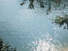 -广州市流溪河国家森林公园
