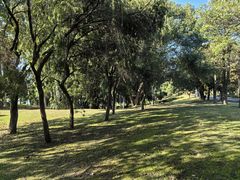 -福建鲤鱼洲酒店