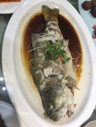 -南来顺饭庄·宴会厅(南菜园店)