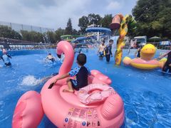 -青年湖公园水上世界