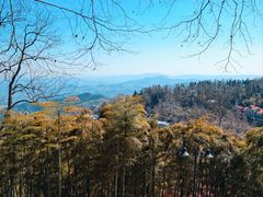 -莫干山风景区