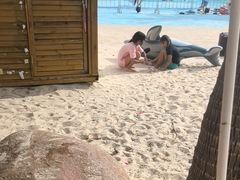 -亚马逊丛林水乐园