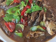 -天乐农家鱼头王(天目湖店)